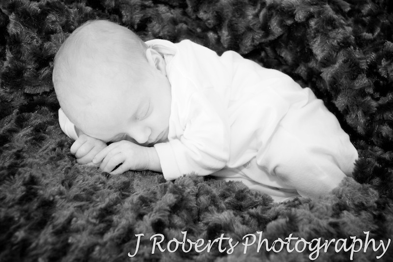 B&W Baby Portrait snuggled in faux fur - baby portrait photography sydney